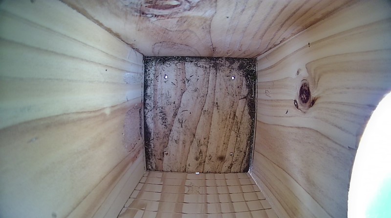 Nestbox image