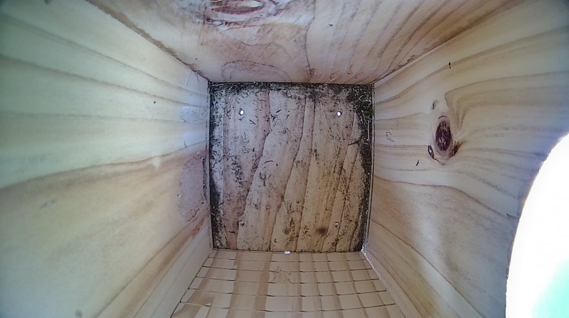 Nestbox image