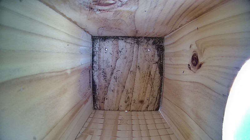 Nestbox image