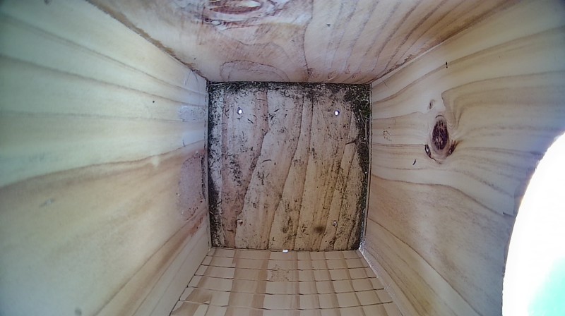 Nestbox image
