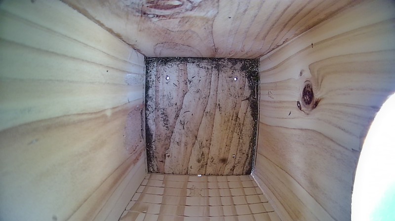 Nestbox image