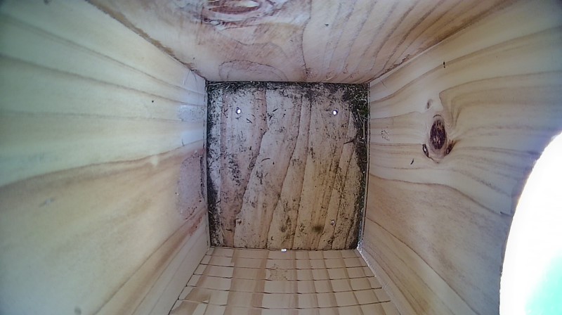 Nestbox image
