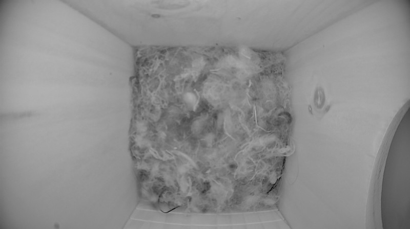 Nestbox image