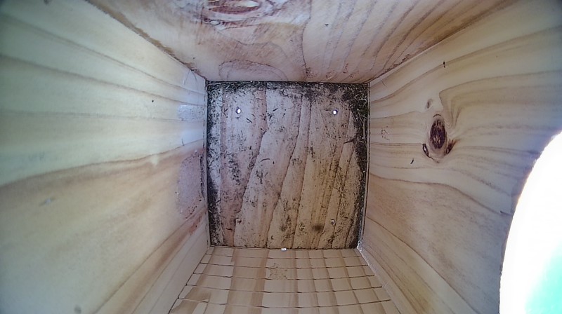 Nestbox image