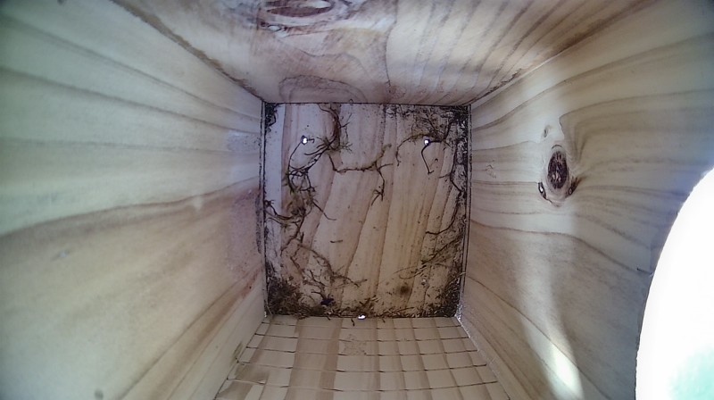 Nestbox image