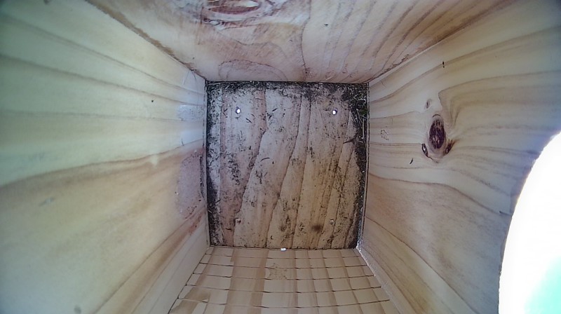Nestbox image