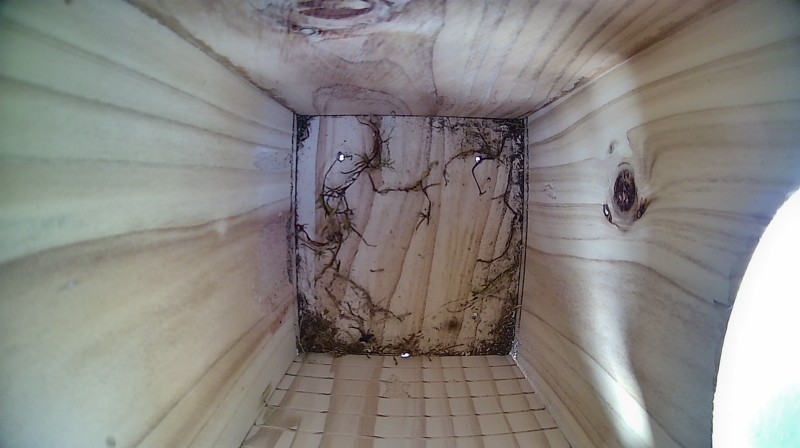Nestbox image
