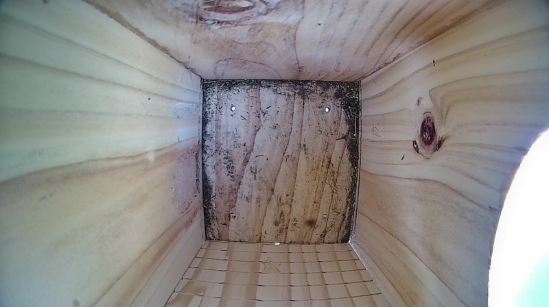 Nestbox image