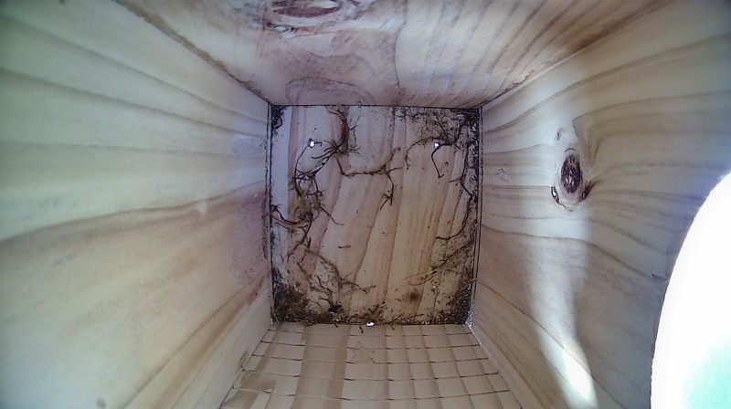 Nestbox image