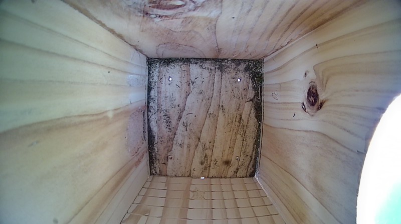 Nestbox image