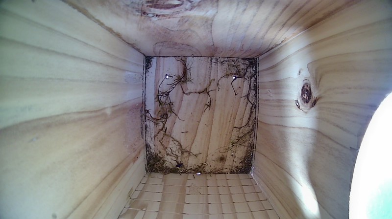 Nestbox image