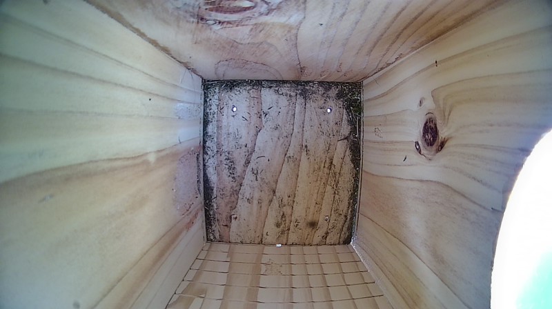Nestbox image