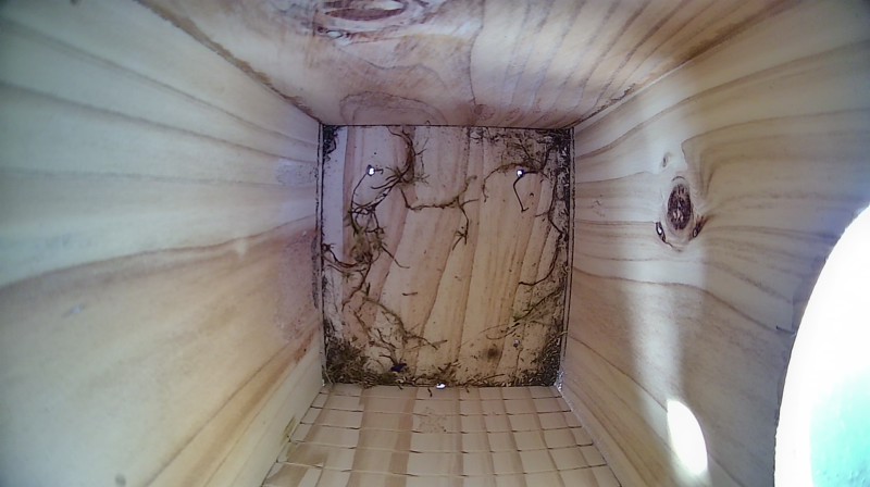 Nestbox image