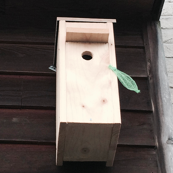 Nestkastcam.be